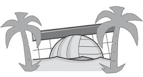logo beachvelleybal google